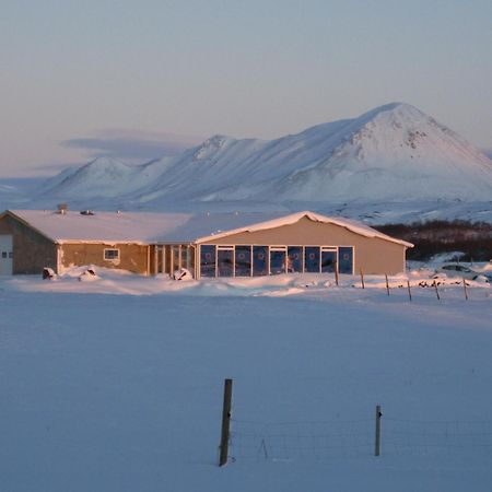 Vogafjos Farm Resort Myvatn Exteriér fotografie