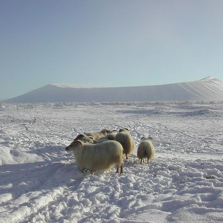 Vogafjos Farm Resort Myvatn Exteriér fotografie